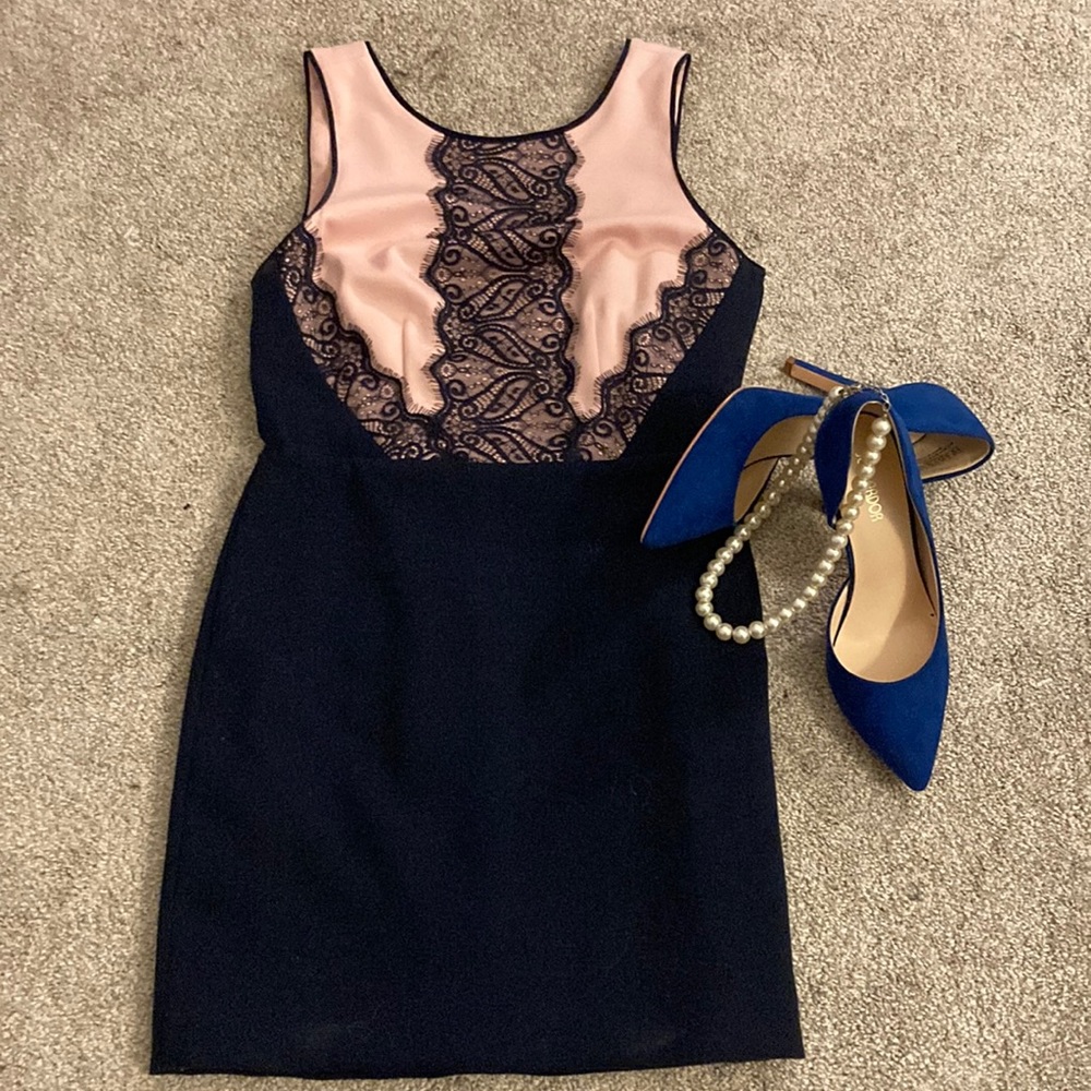 NWT The Limited Lace Pencil Dress